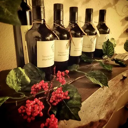 Bed & Breakfast Lalchimista Del Borgo Massa d'Albe